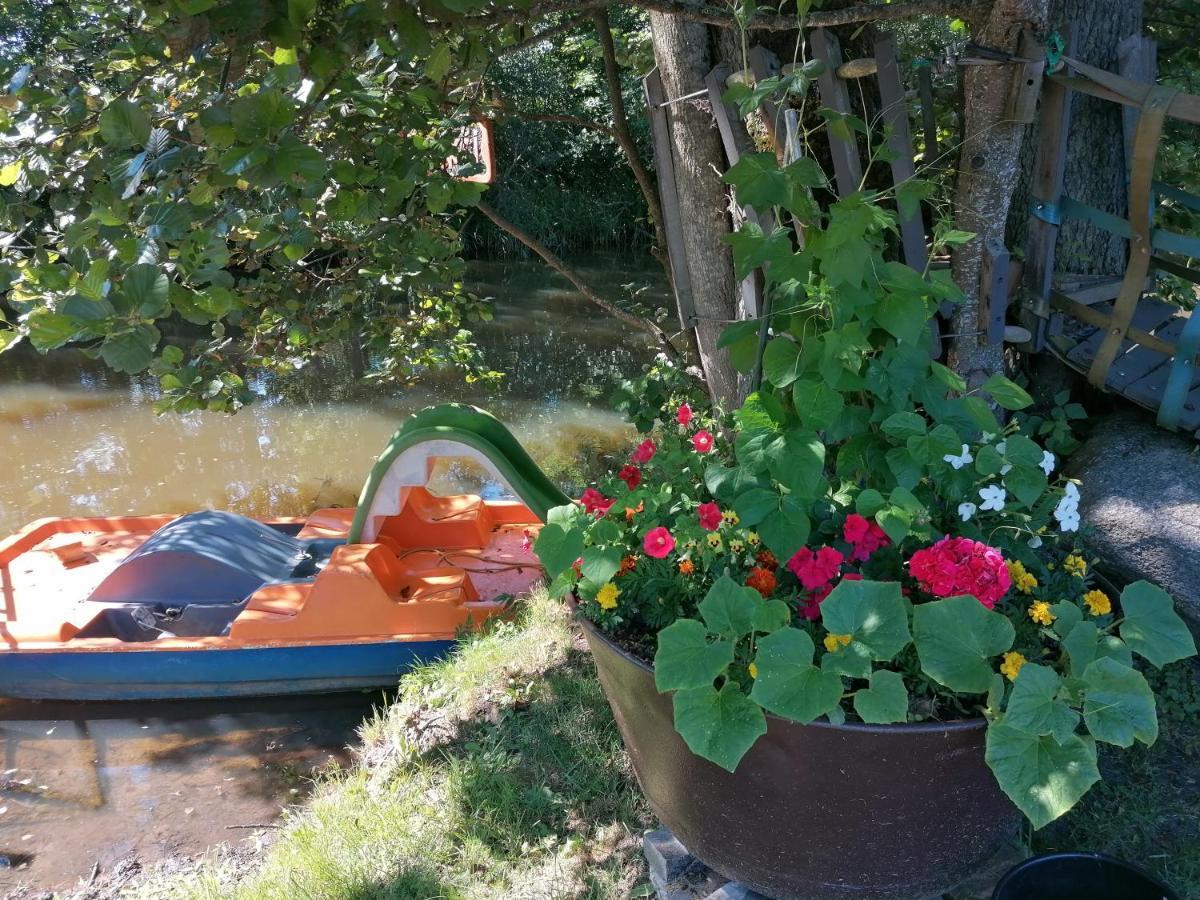 Kriksi Holiday home Uzava